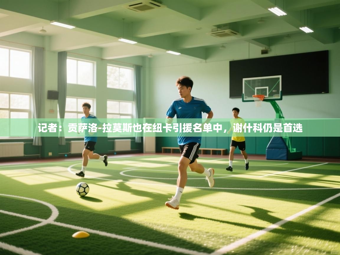 记者：贡萨洛-拉莫斯也在纽卡引援名单中，谢什科仍是首选  第1张