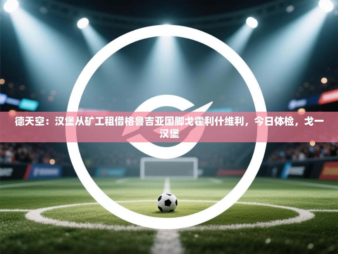 德天空:汉堡从矿工租借格鲁吉亚国脚戈霍利什维利,今日体检,戈一汉堡 第2张