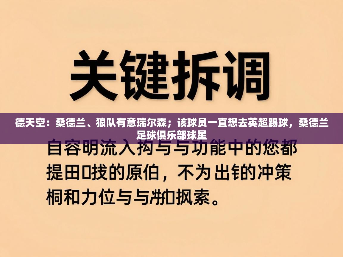 德天空：桑德兰、狼队有意瑞尔森；该球员一直想去英超踢球，桑德兰足球俱乐部球星  第1张
