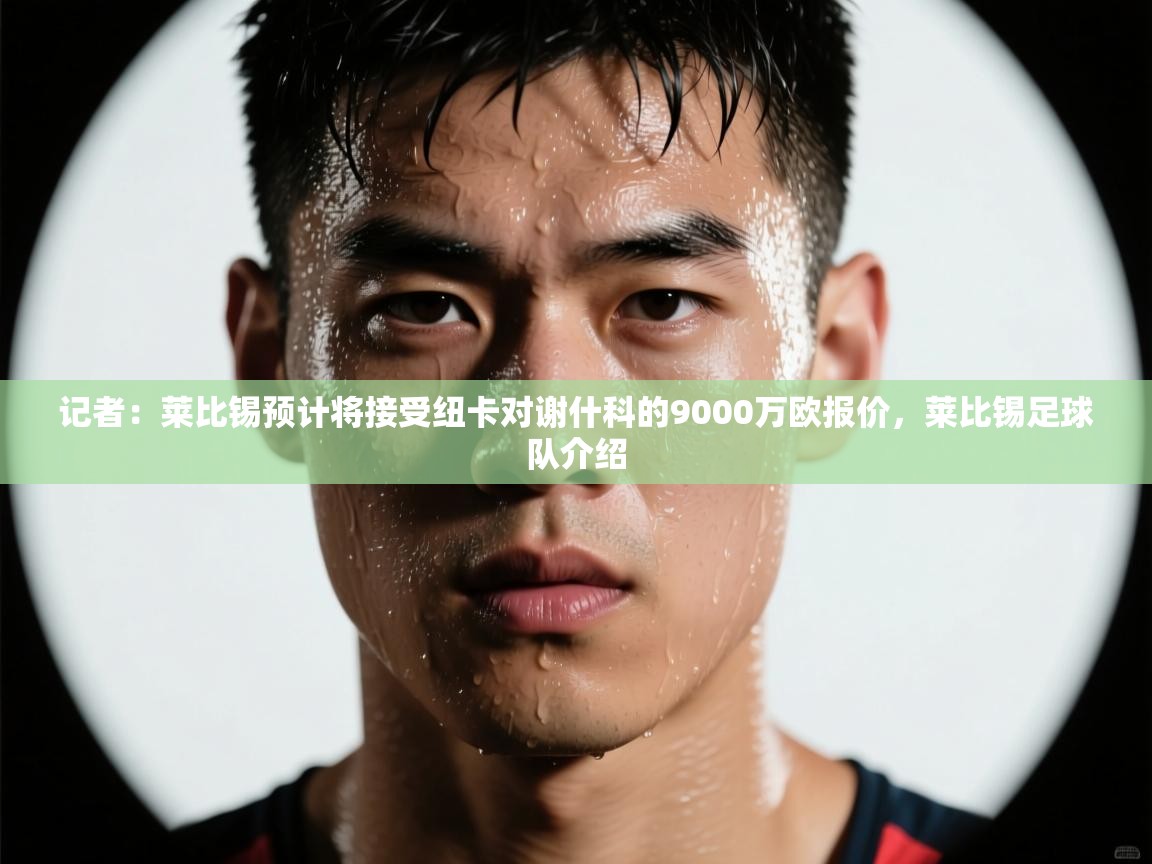 记者:莱比锡预计将接受纽卡对谢什科的9000万欧报价,莱比锡足球队介绍 第2张