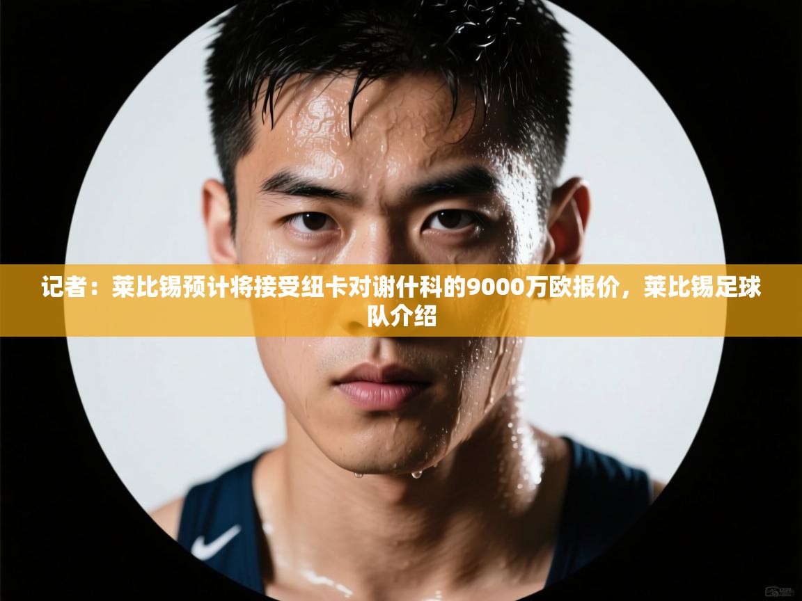 记者:莱比锡预计将接受纽卡对谢什科的9000万欧报价,莱比锡足球队介绍 第1张