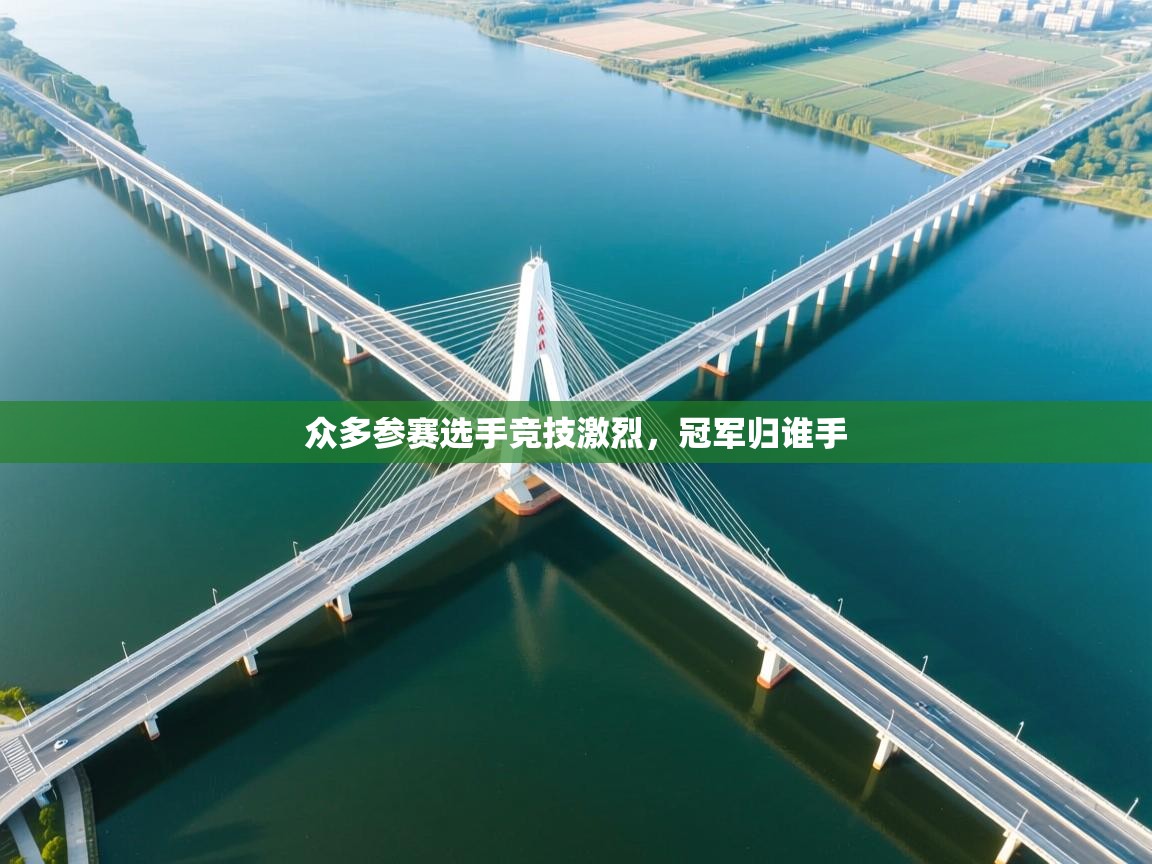 众多参赛选手竞技激烈，冠军归谁手  第1张