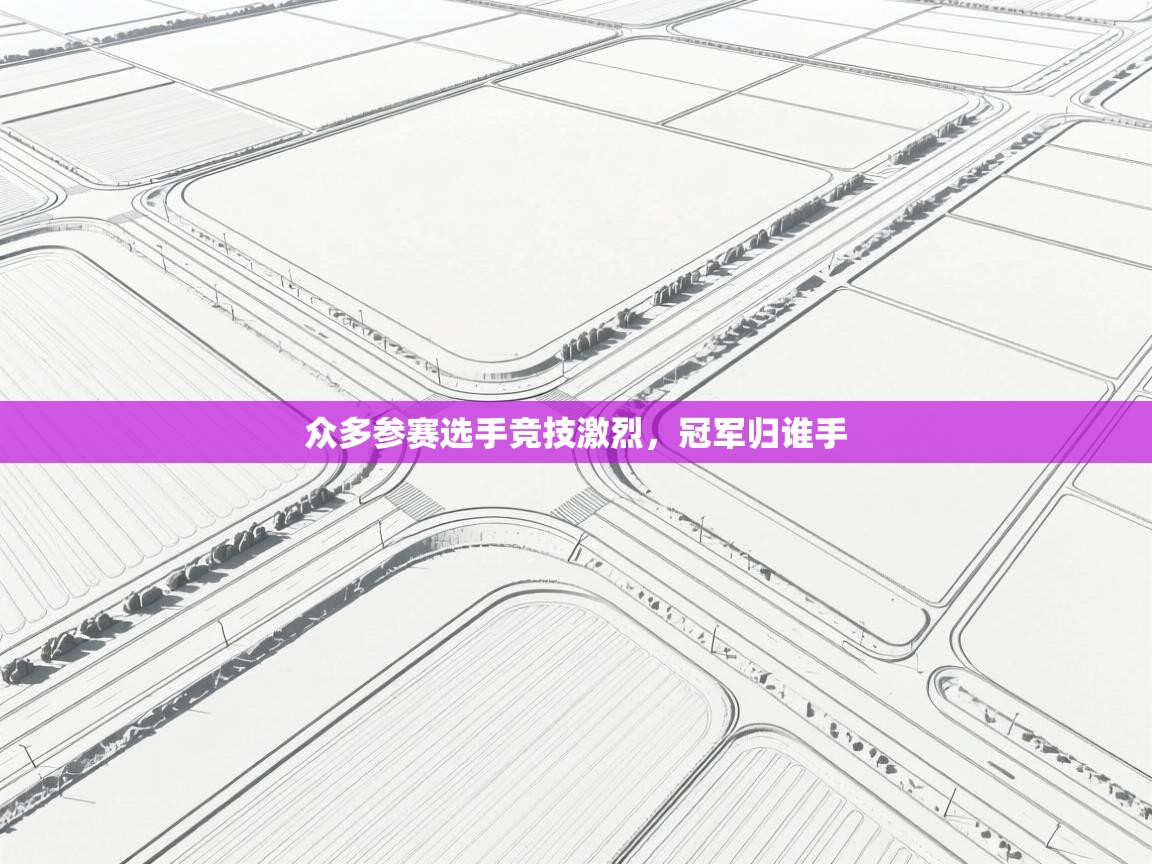 众多参赛选手竞技激烈，冠军归谁手  第2张