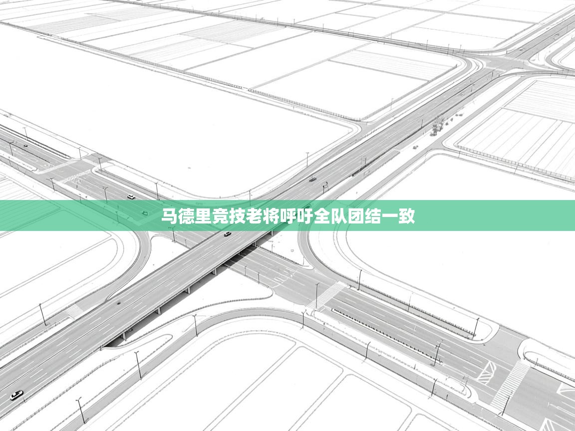 马德里竞技老将呼吁全队团结一致  第2张