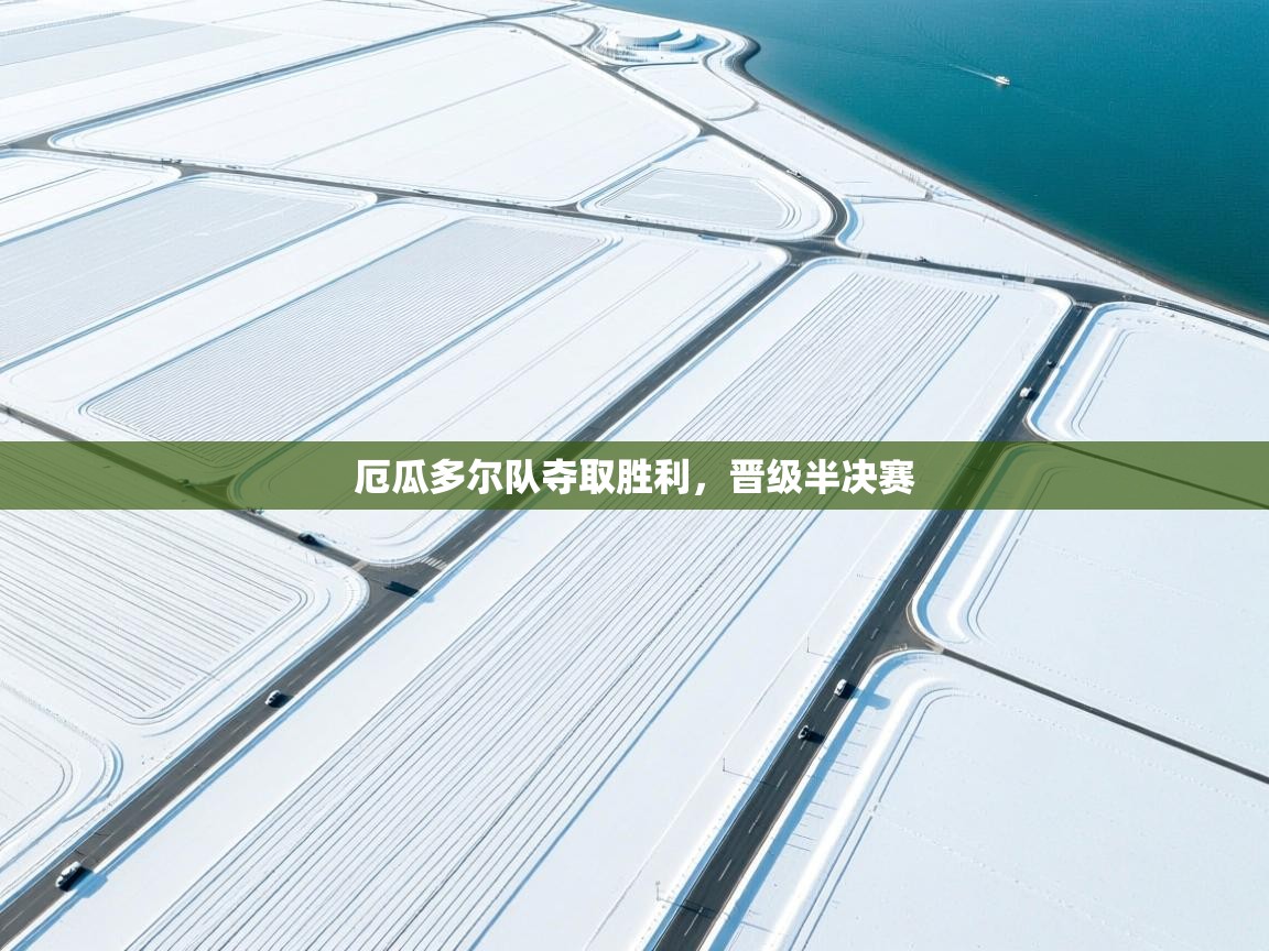 厄瓜多尔队夺取胜利，晋级半决赛  第2张