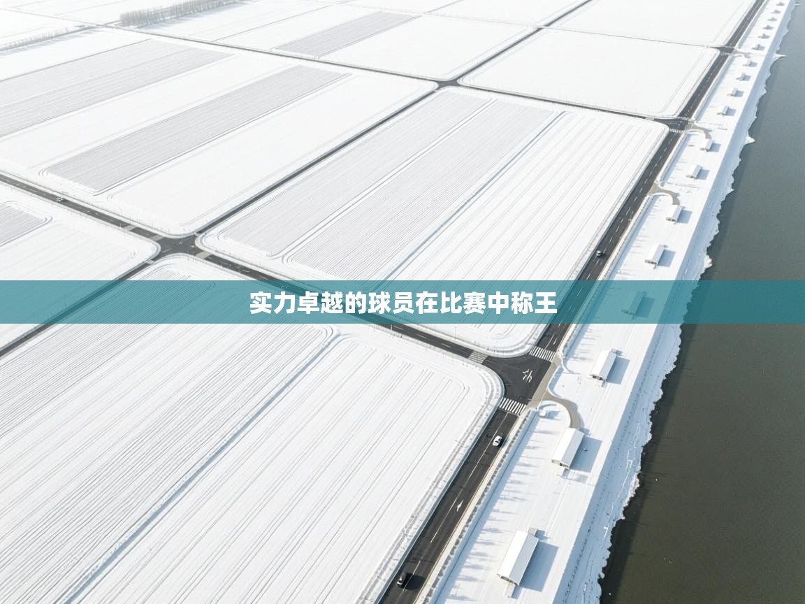 实力卓越的球员在比赛中称王  第1张