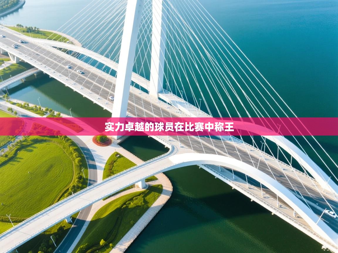 实力卓越的球员在比赛中称王  第2张